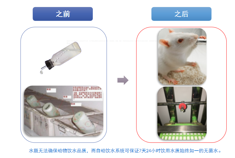 自动饮水系统在实验动物行业的应用 自动饮水系统在实验动物行业的应用