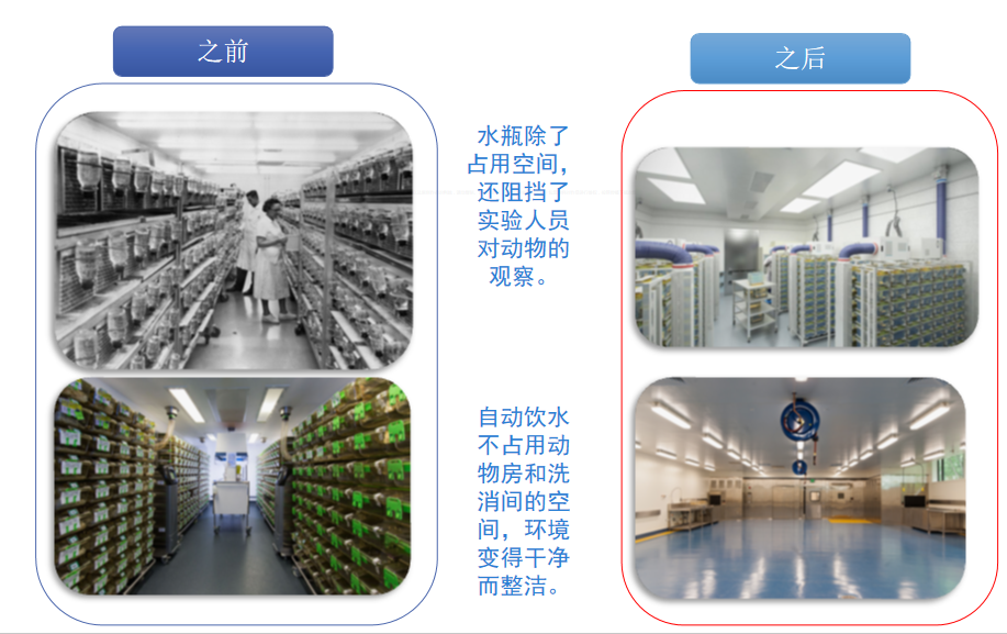 自动饮水系统在实验动物行业的应用 自动饮水系统在实验动物行业的应用