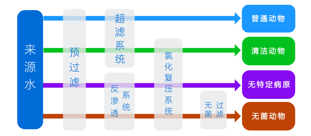 自动饮水系统在实验动物行业的应用 自动饮水系统在实验动物行业的应用