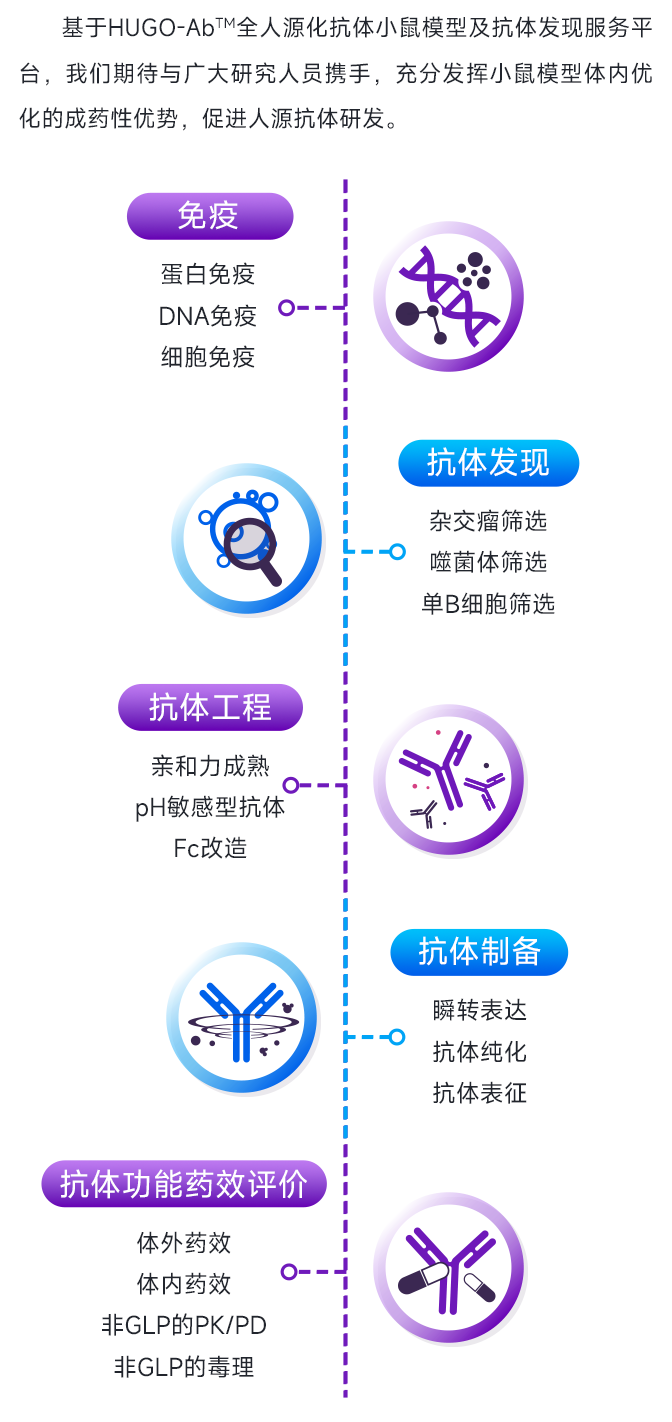 HUGO-Ab™全人源化抗体小鼠助力治疗性抗体新药研发,诚邀全球研究人员合作试用 HUGO-Ab™全人源化抗体小鼠助力治疗性抗体新药研发,诚邀全球研究人员合作试用